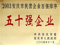 2003年安慶市民營(yíng)企業(yè)五十強(qiáng)